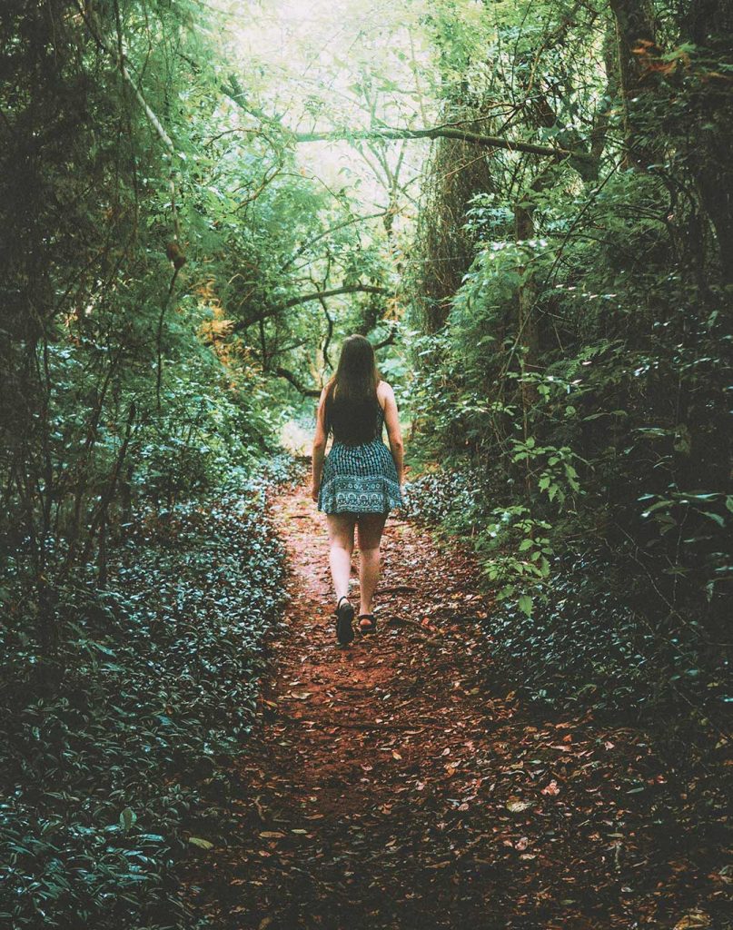 Meditierend durch den Wald gehen